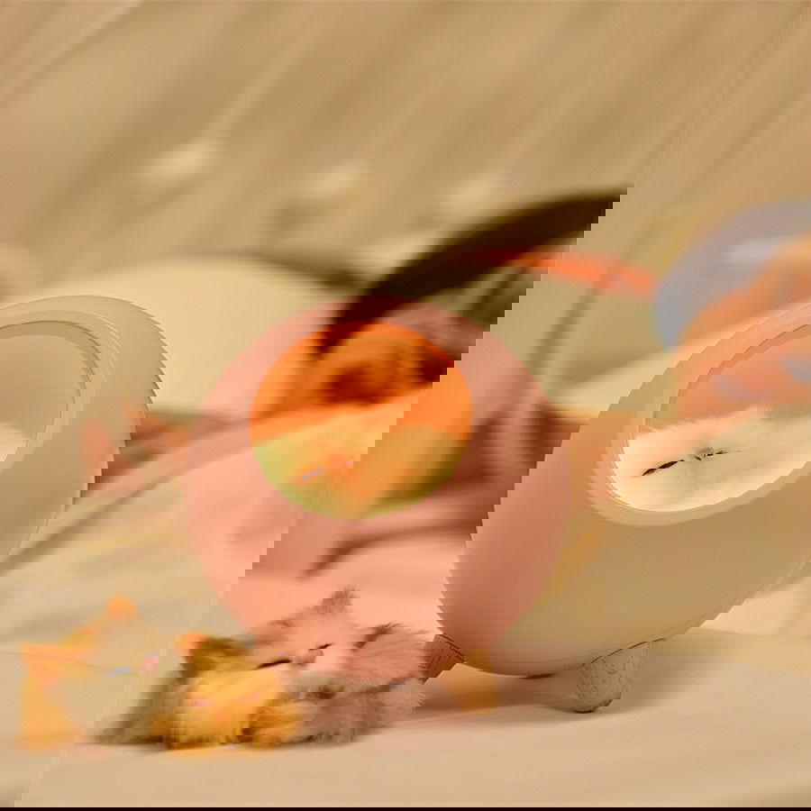 LED Cat Light USB Touch Night Llight Bionic Cat Stepless Dimming Atmosphere Night Light Room Decoration Lamp Holiday Gift - World's Finest -