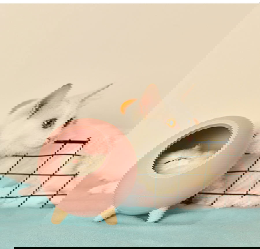 LED Cat Light USB Touch Night Llight Bionic Cat Stepless Dimming Atmosphere Night Light Room Decoration Lamp Holiday Gift - World's Finest -