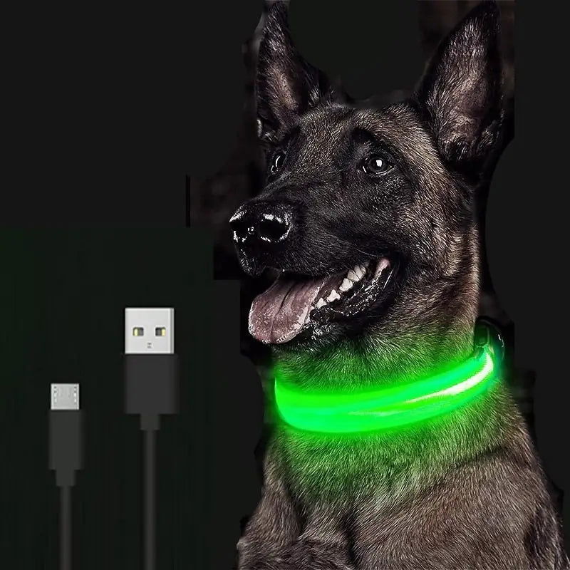 LED Dog Collar - World's Finest -
