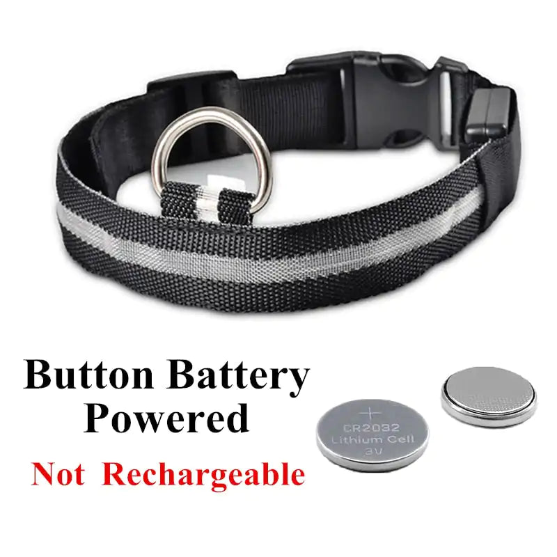 Adjustable LED Pet Collar - World's Finest -