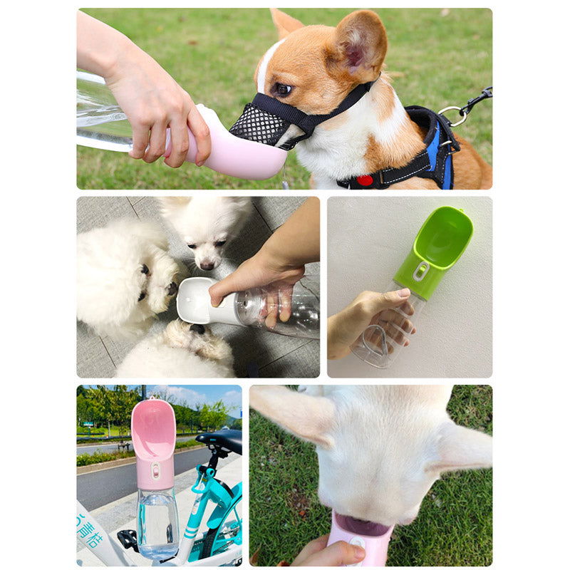 Pet Dog Water Bottle Feeder - World's Finest -