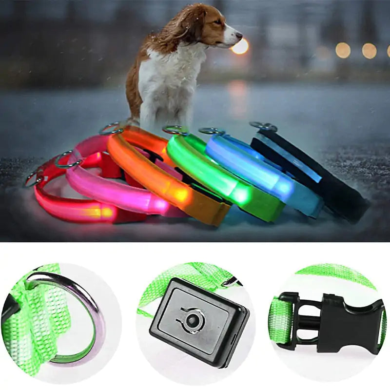 Adjustable LED Pet Collar - World's Finest -