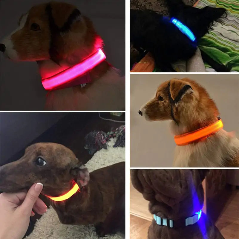 Adjustable LED Pet Collar - World's Finest -