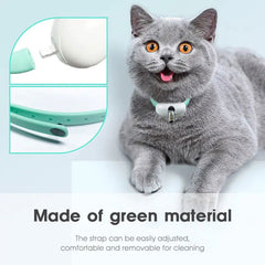 Automatic Cat Laser Toy - World's Finest - 