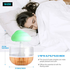 Desktop Rain Cloud Humidifier - World's Finest - 