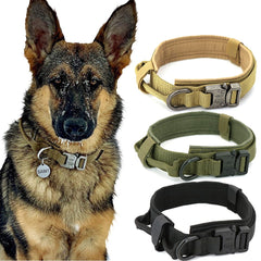 Dog Collar - World's Finest - 