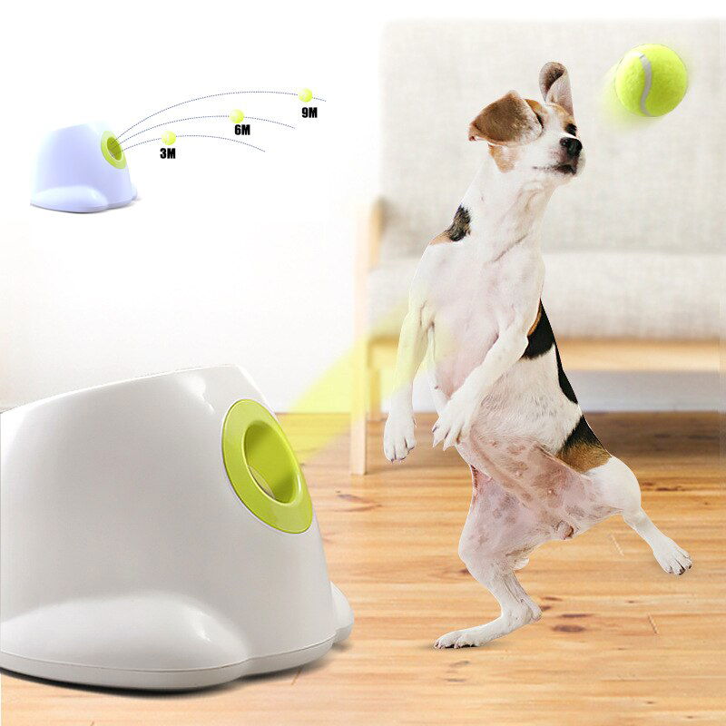 Dog pet Tennis Launcher - World's Finest - 