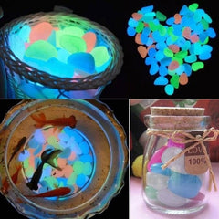 Glow in the Dark Garden Pebbles - World's Finest - 