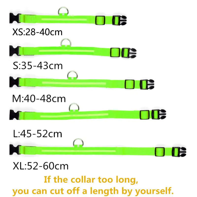 LED Dog Collar - World's Finest - 
