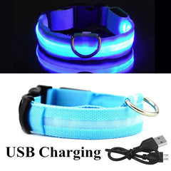 LED Dog Collar - World's Finest - 