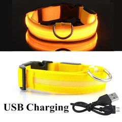 LED Dog Collar - World's Finest - 