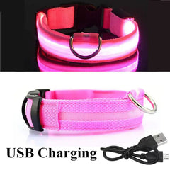LED Dog Collar - World's Finest - 