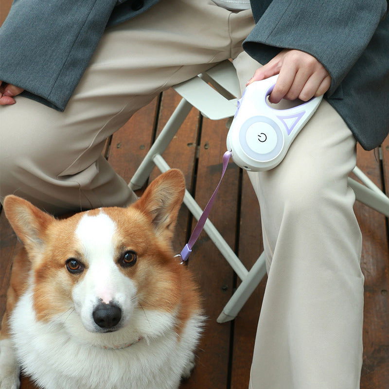 Led Lights Dog Leash - World's Finest - 