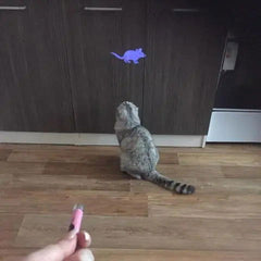 Pet Laser Pointer Multi-Pattern - World's Finest - 