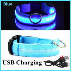 LED Glowing Adjustable Dog Collar - World's Finest - 