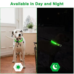 Glowing Dog Collar - World's Finest - 