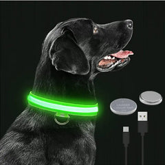 LED Glowing Adjustable Dog Collar - World's Finest - 