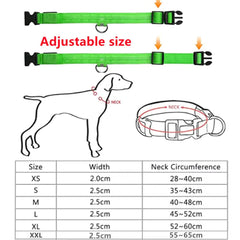 Glowing Dog Collar - World's Finest - 