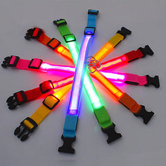 Glowing Dog Collar - World's Finest - 