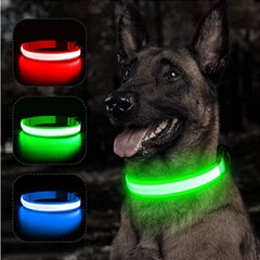 LED Glowing Adjustable Dog Collar - World's Finest - 