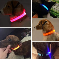 Adjustable LED Pet Collar - World's Finest - 