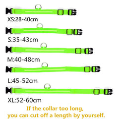 Adjustable LED Pet Collar - World's Finest - 